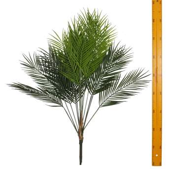 Куст пальмы финиковой 14листов HZQY01