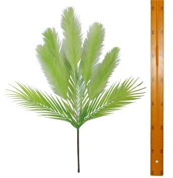 Камыш с фениксом куст