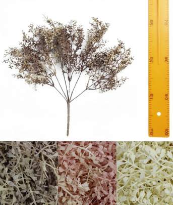 Ветка добавка  5в 40см 24шт A1164