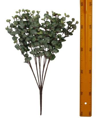 Куст зелени 5в NF0897