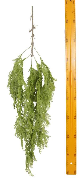 Зелень ампельная 380