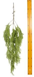 Зелень ампельная 380