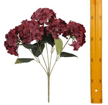 Гортензия 5вет 45см