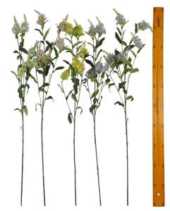 Ветка порея LX2502