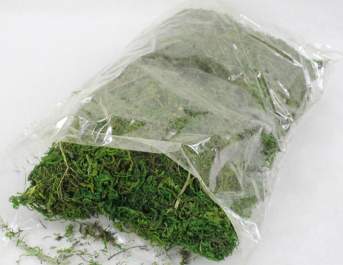 Мох ZX0016 22*17см