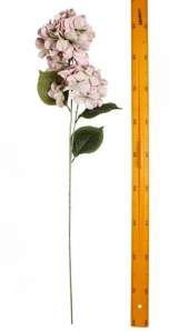 Ветка гортензии 2гол 100см