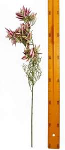 Ветка зелени с цветами 90см