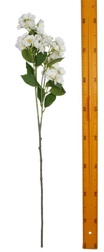 Ветка с цветом HN11