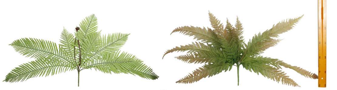 Куст папоротника серибристый 11лист 73см Д10490