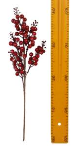 Ветка ягодка  927331