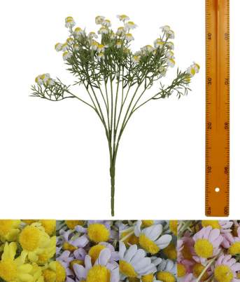 Ветка ромашки аптечной CFYH01