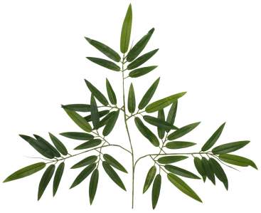 Ветка кустовая бамбук зеленый 158.70 158.71