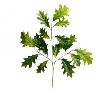 Ветка кустовая дуб осень HNXY27