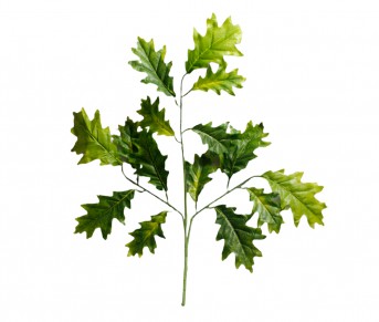 Ветка кустовая дуб осень HNXY27