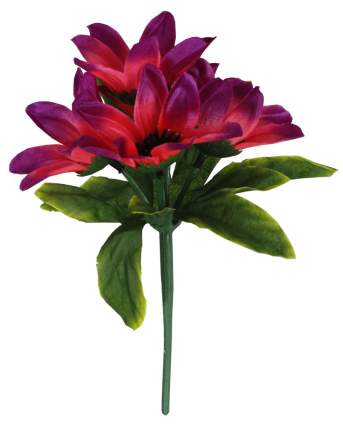 Букет герберы бардюрка 50шт 15см 5гол А831