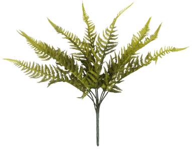 Куст папоротника 60см 9л
