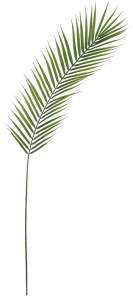 Лист пальмы Ливинстона 107см