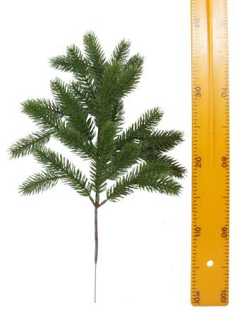 Ветка елки 152.206