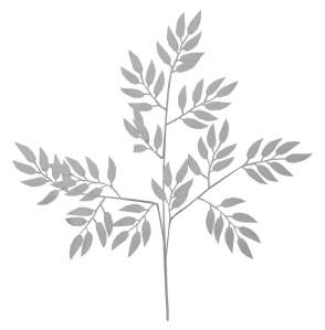 Ветка ивы ZH-01-03