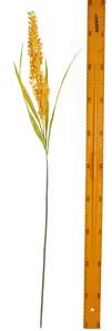 Ветка пшеницы 100см