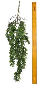 Зелень ампельная H24083P