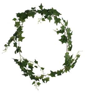 Куст плюща JT-01 JT-02