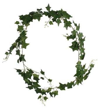 Куст плюща JT-01 JT-02