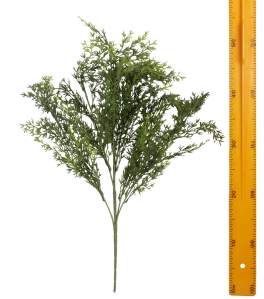 Куст черемши H26343P