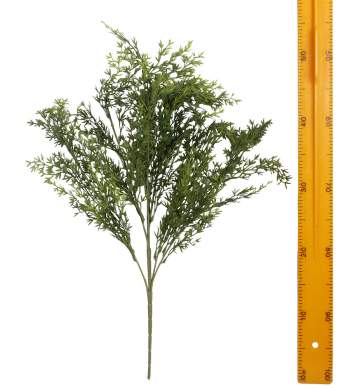 Куст черемши H26343P