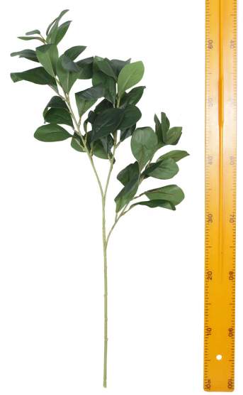 Ветка лавра WX-07