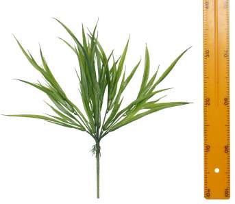 Ветка осоки Y092