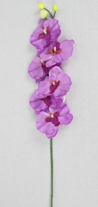 Орхидея KWLA042