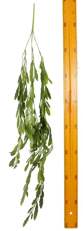 Ветка зелени ампельной НО0310-21