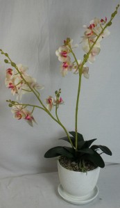 Орхидея в горшке ZLA015