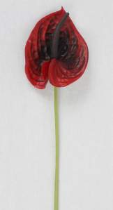 Антуриум на ножке крупный 80см