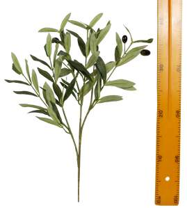 Ветка оливы WX-05