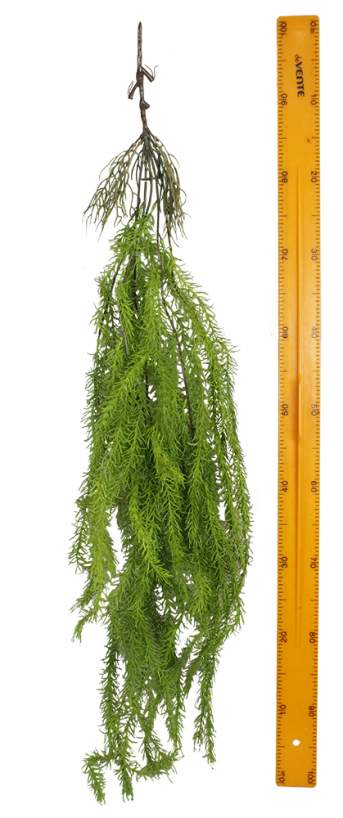 Ветка аспарагуса ампельного YH-04