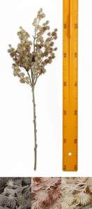 Добавка A1245 24шт