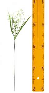 Ветка соцветия шариков с травкой 35см 3146