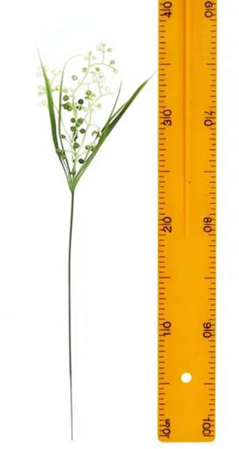 Ветка соцветия шариков с травкой 35см 3146