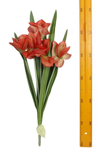 Куст гиппеаструма 5цв 65см HD10773