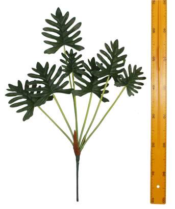 Куст филодендрона 7л 75см