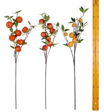 Ветка мандарин яблок