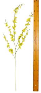 Ветка орхидеи 90см 5вет NF1363