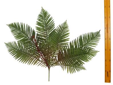 Куст папоротника силикон 8листьев 95см