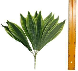 Куст зелень тещин язык