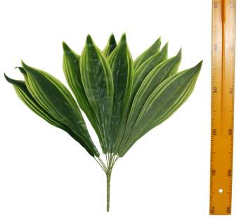 Куст зелень тещин язык