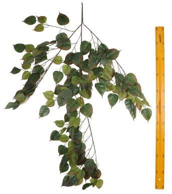 Ветка зелени 22893