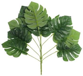 Куст Монстеры 40см