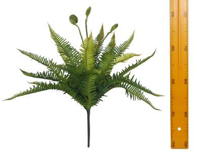 Папоротник 16л 45см DGQX16